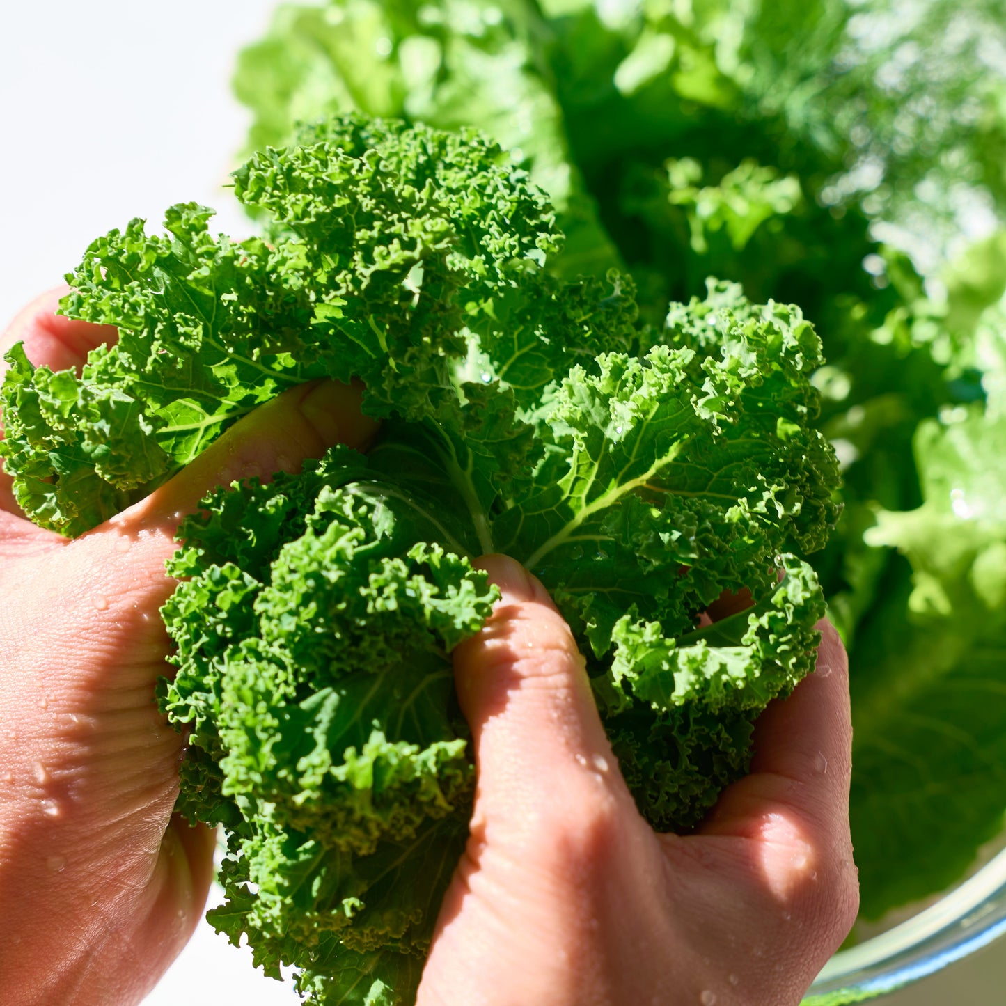 3種きのこのカレー風味