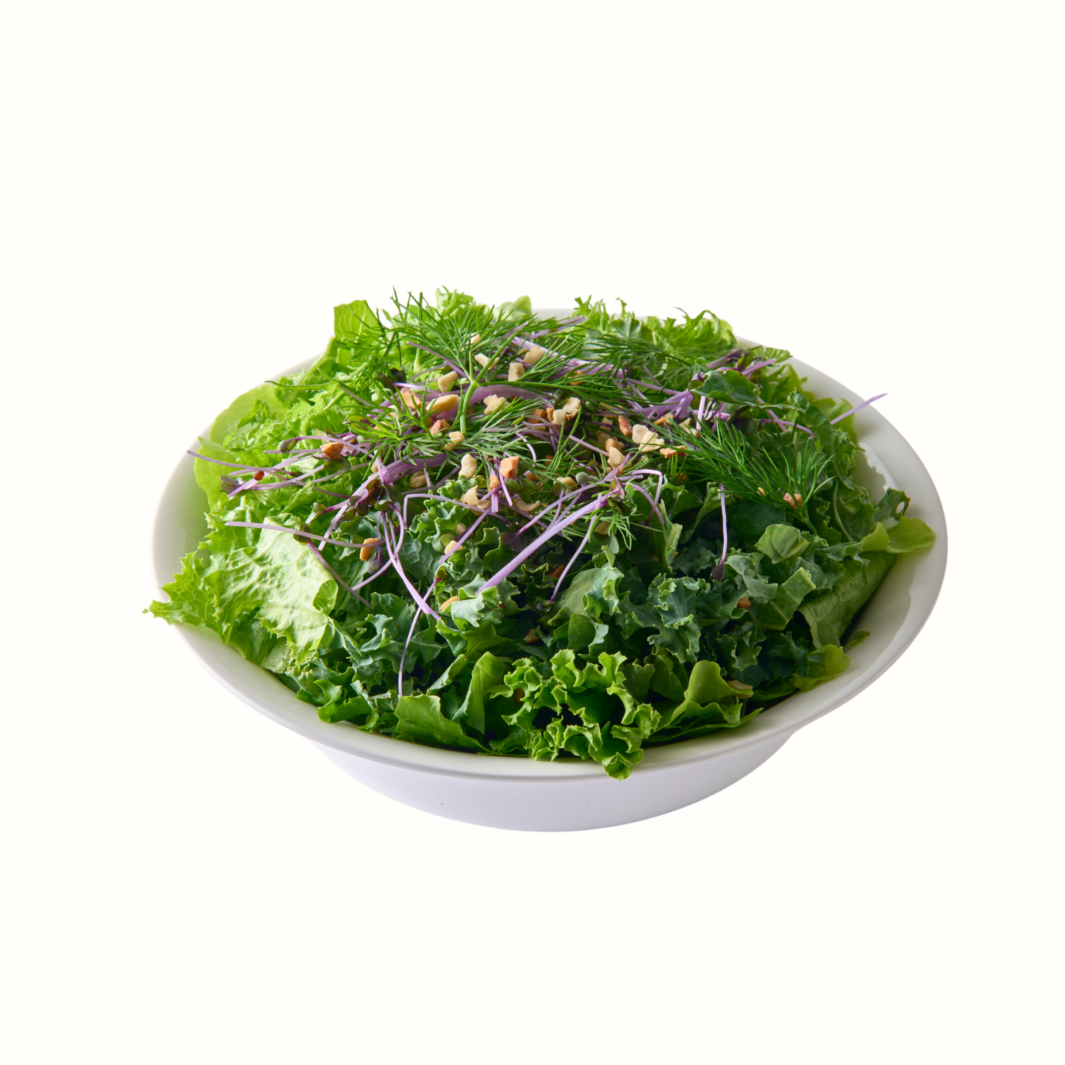 アクアモグリーン