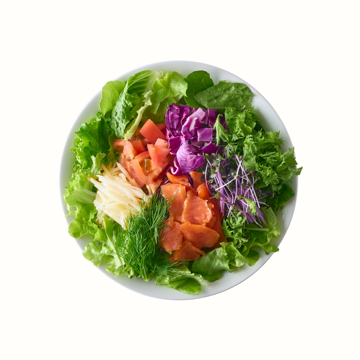 スモークサーモンディル↑