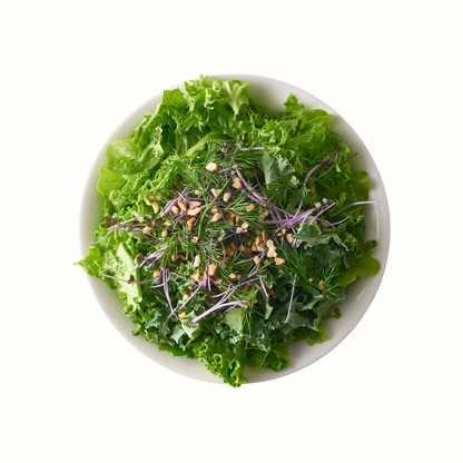 アクアモグリーン