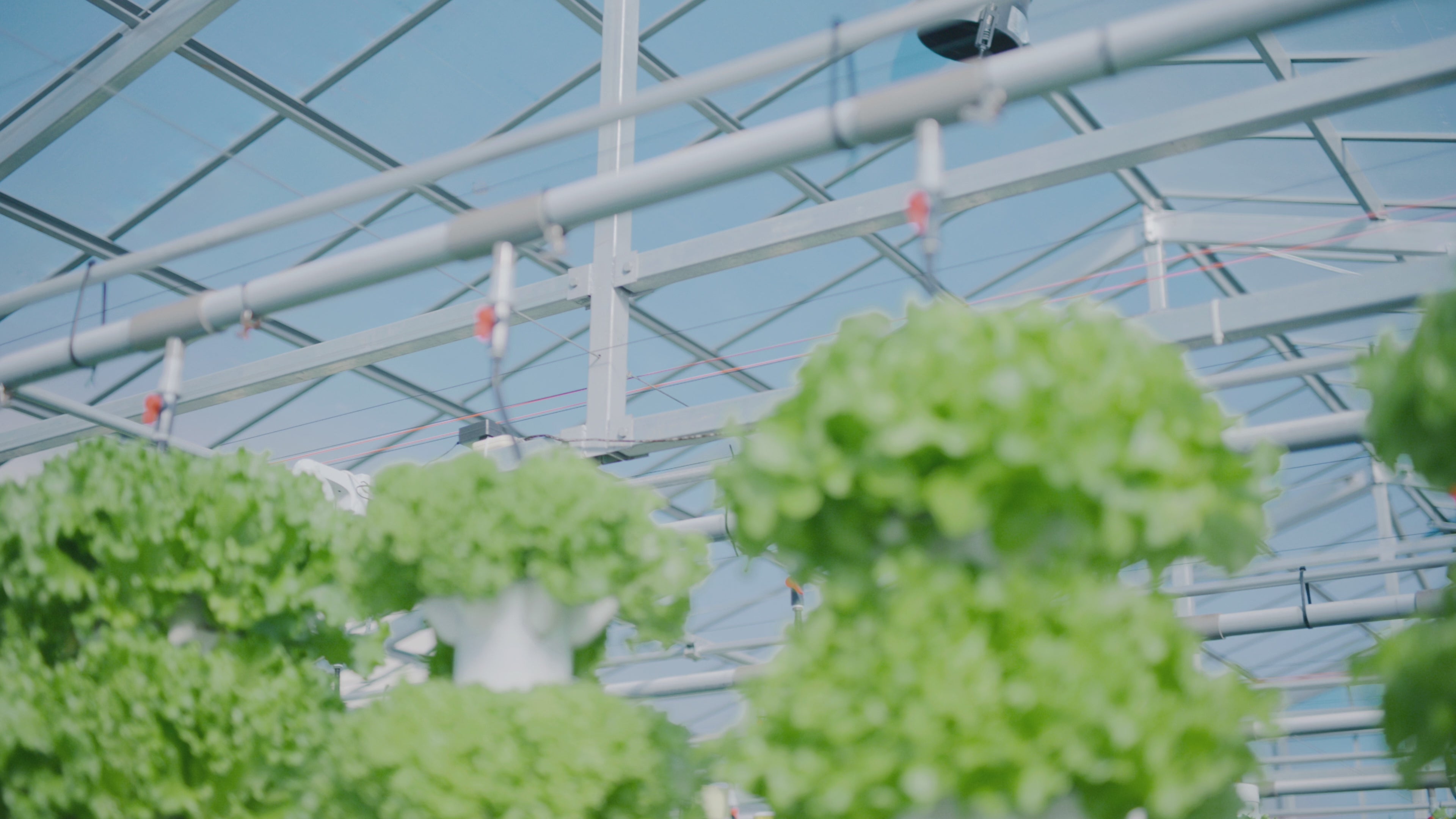 動画を読み込む: 